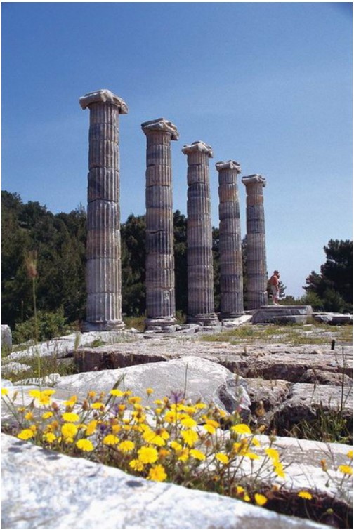 priene city